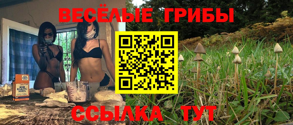 Псилоцибиновые грибы Cubensis  Галлюциногенные грибы MAGIC MUSHROOMS  Вход с VPN  Спасск-Дальний 